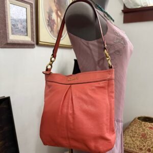 Coach Ashley Hobo Crossbody Shoulder Bag F20114